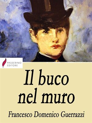 cover image of Il buco nel muro